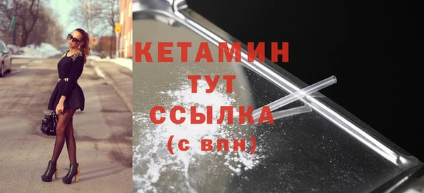 шишки Абаза