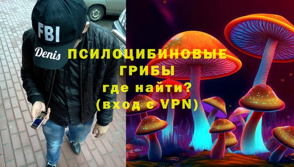 шишки Абаза