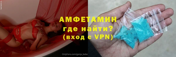 шишки Абаза