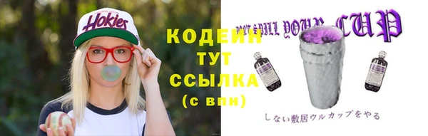 шишки Абаза