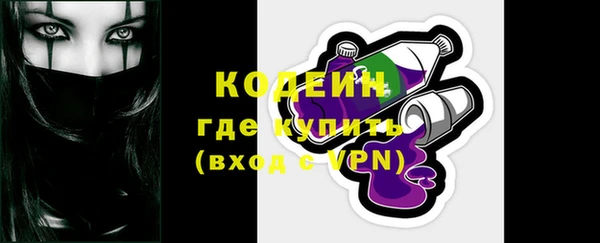 шишки Абаза