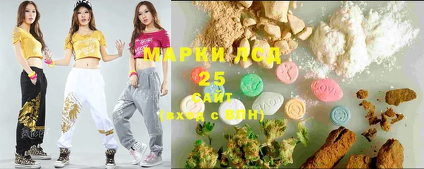 шишки Абаза