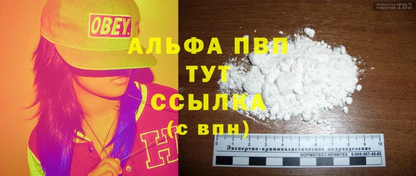 шишки Абаза